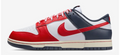 NIKE DUNK RETRO LOW