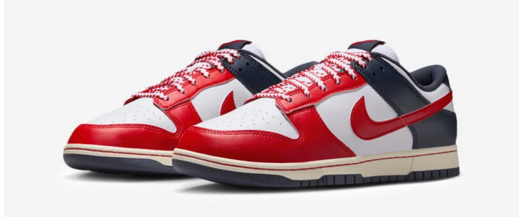 NIKE DUNK RETRO LOW